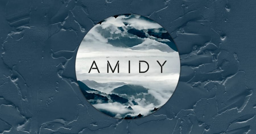 Amidy logo